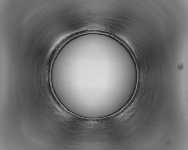 X0000090861115200707270928