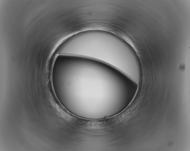 X0000090861116200707270928