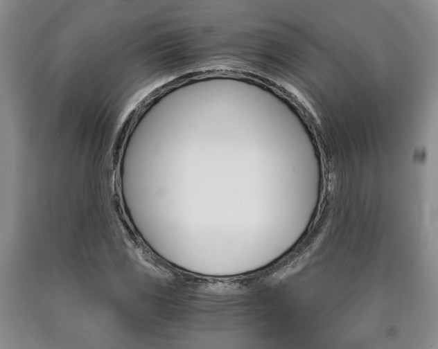 X0000090861117200707270928