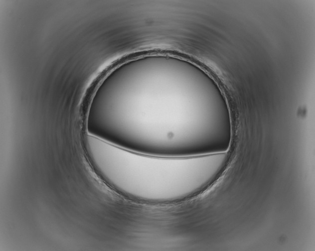 X0000090861118200707270928