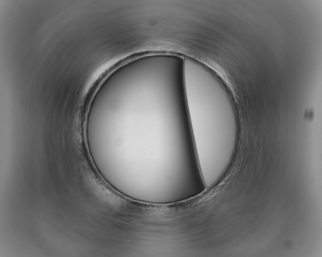 X0000090861120200707270928