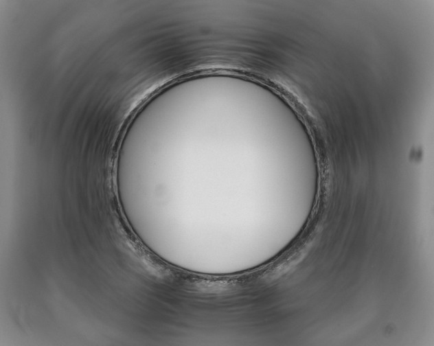 X0000090861121200707270928