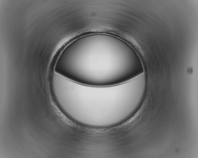 X0000090861122200707270928