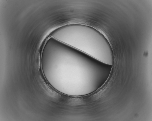 X0000090861123200707270928