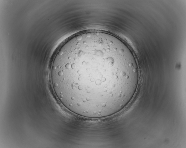 X0000090861125200707270928