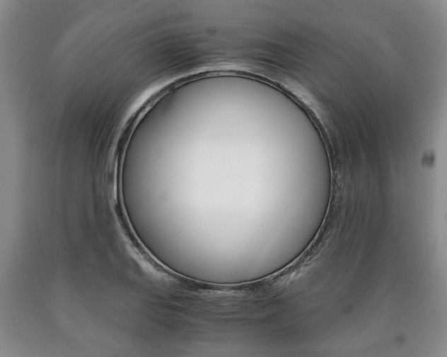 X0000090861127200707270928