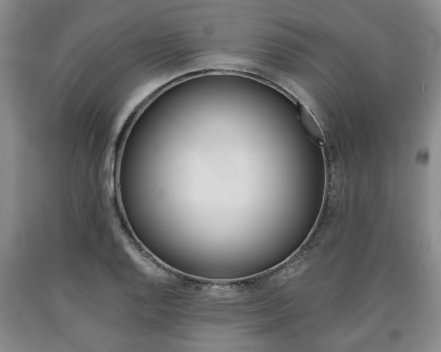 X0000090861128200707270928