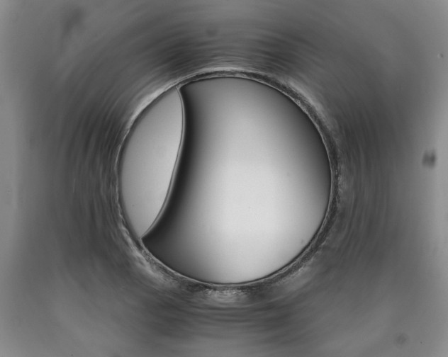 X0000090861129200707270928