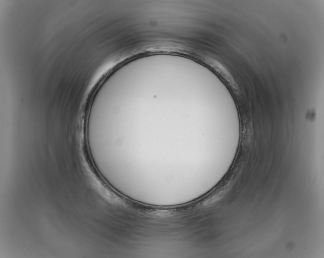 X0000090861130200707270928