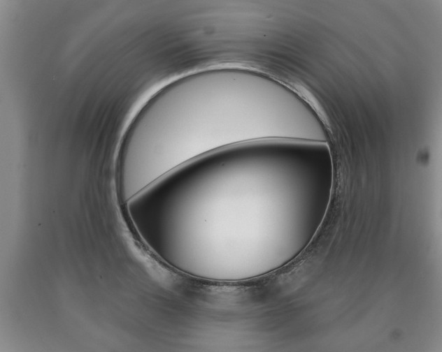 X0000090861132200707270928