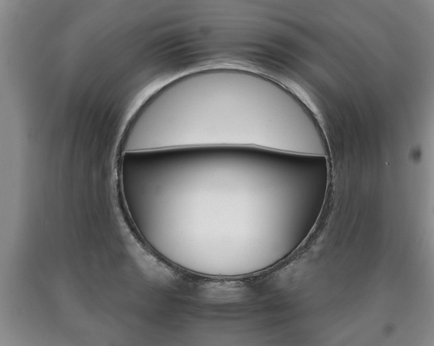 X0000090861133200707270928