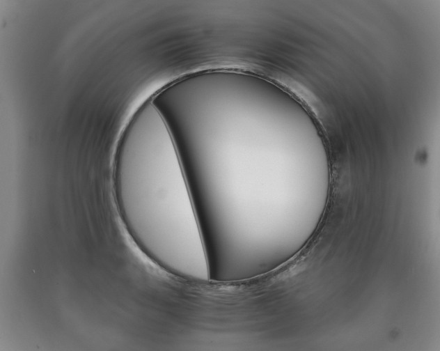 X0000090861135200707270928