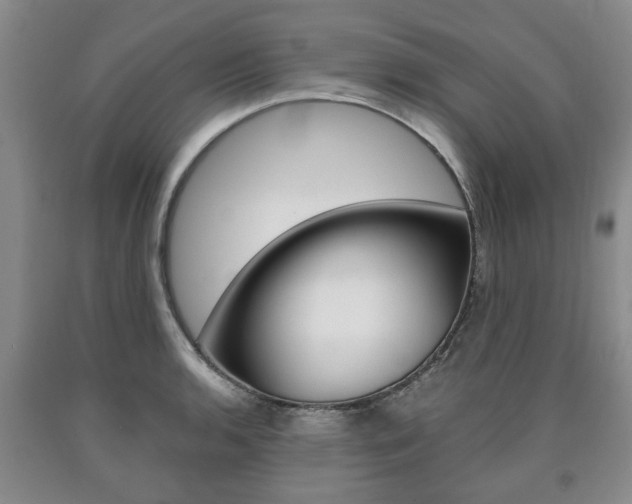 X0000090861136200707270928