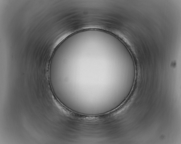 X0000090861137200707270928