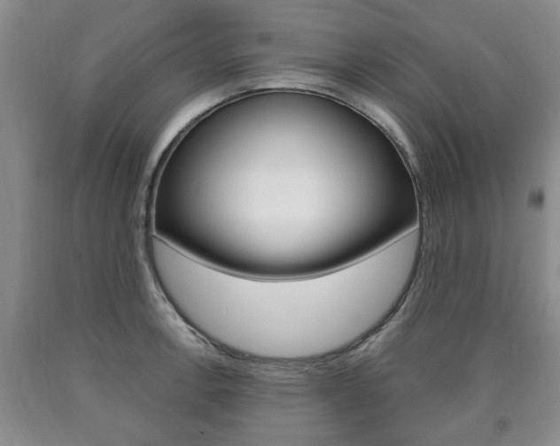 X0000090861138200707270928