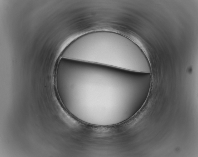 X0000090861141200707270928