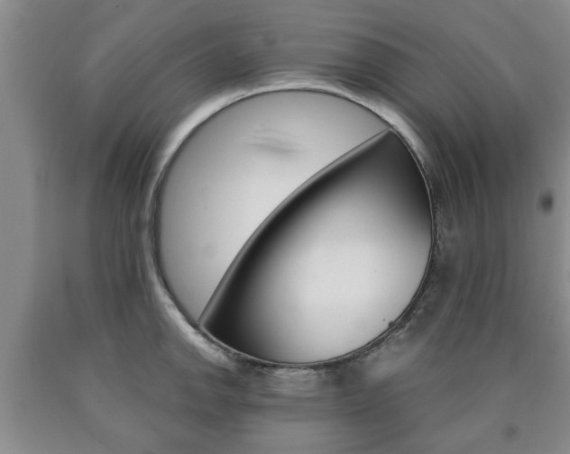 X0000090861142200707270928