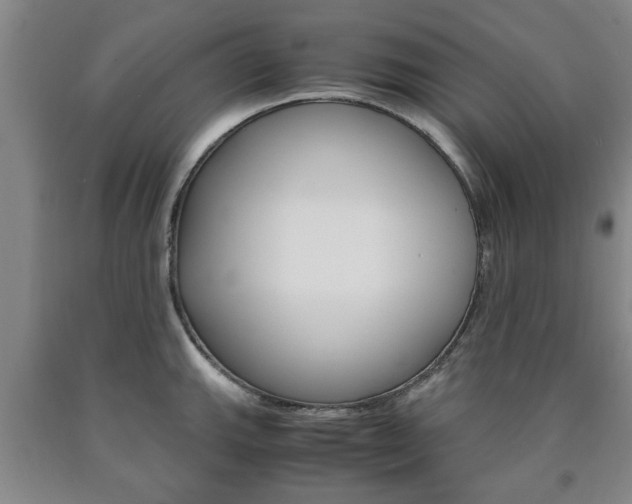 X0000090861143200707270928