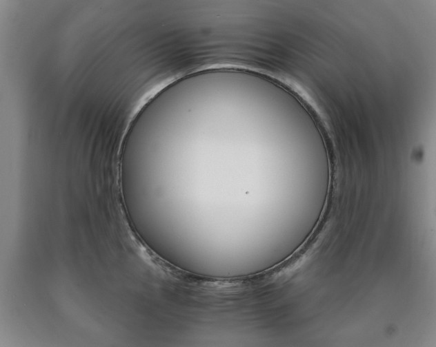 X0000090861145200707270928