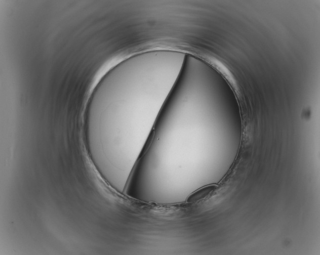 X0000090861146200707270928