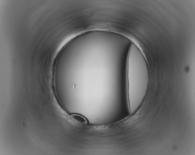 X0000090861147200707270928