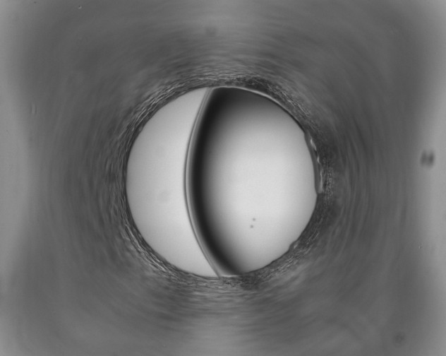 X0000090861153200707270928