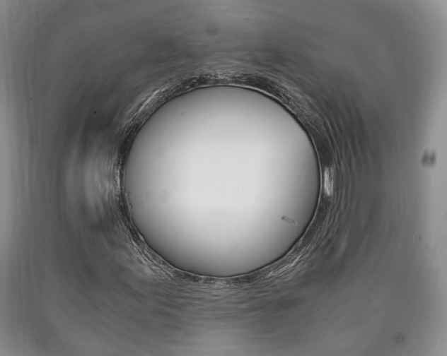 X0000090861155200707270928