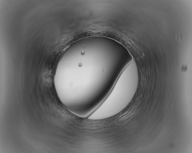 X0000090861156200707270928