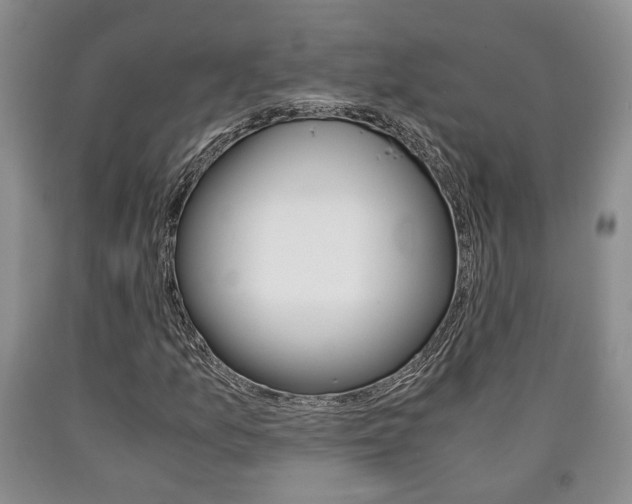 X0000090861157200707270928