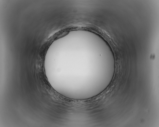 X0000090861158200707270928