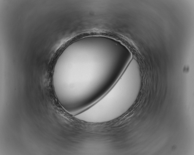 X0000090861160200707270928