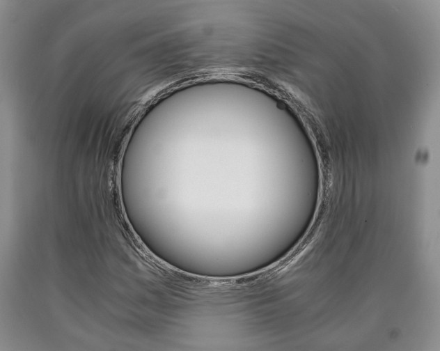 X0000090861161200707270928