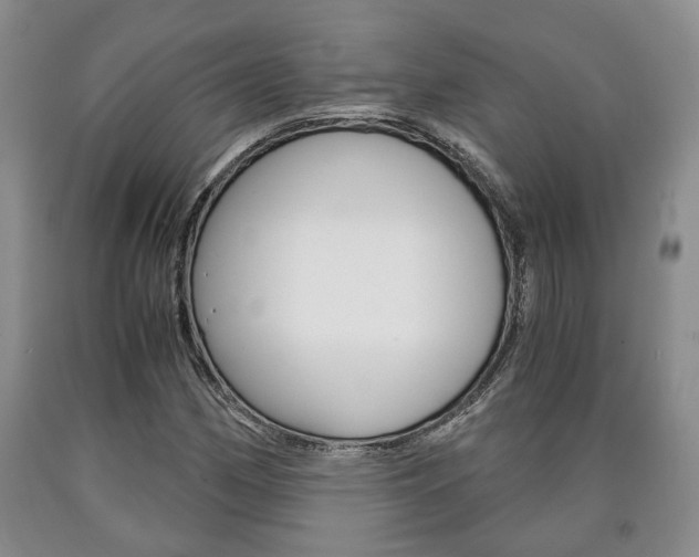 X0000090861162200707270928