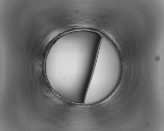 X0000090861163200707270928
