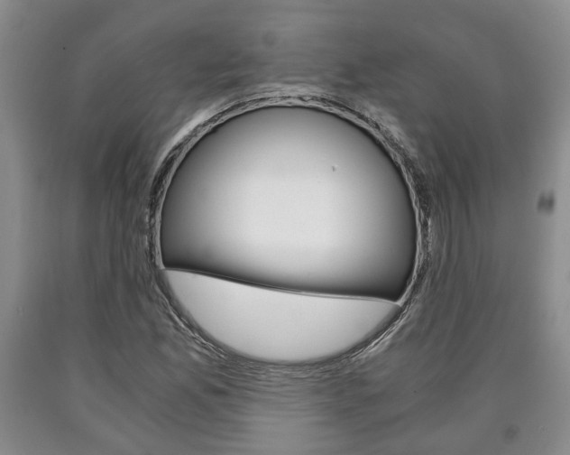 X0000090861165200707270928