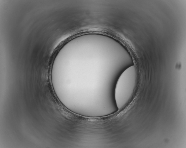 X0000090861166200707270928