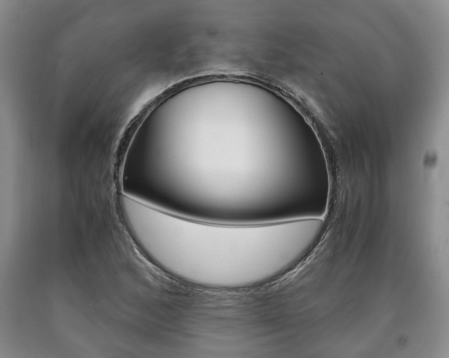 X0000090861168200707270928