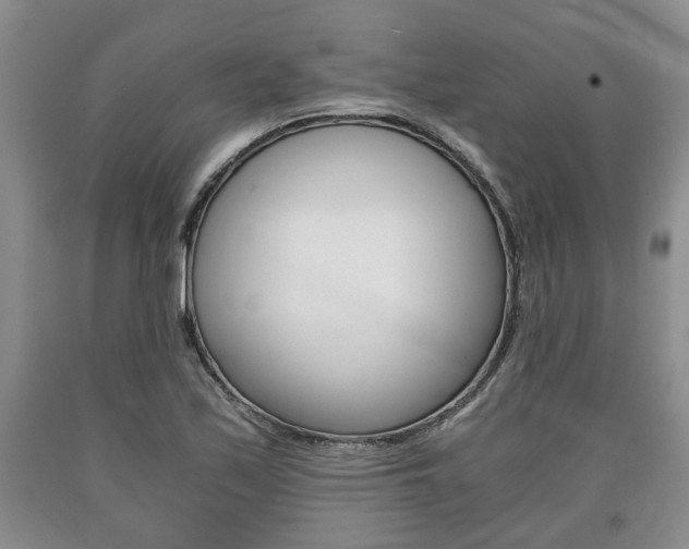 X0000090861171200707270928