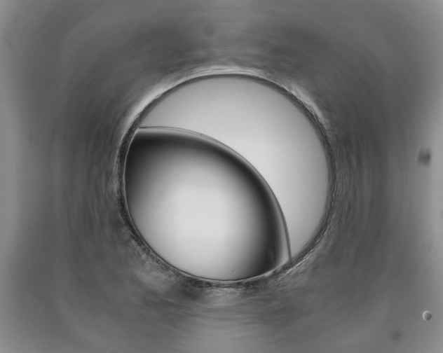 X0000090861173200707270927