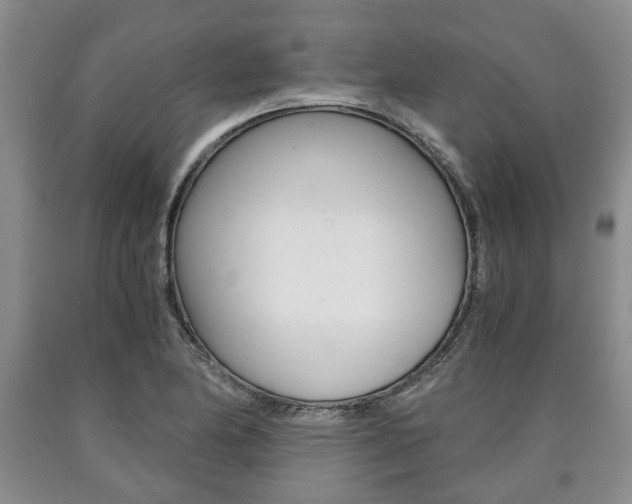 X0000090861174200707270927