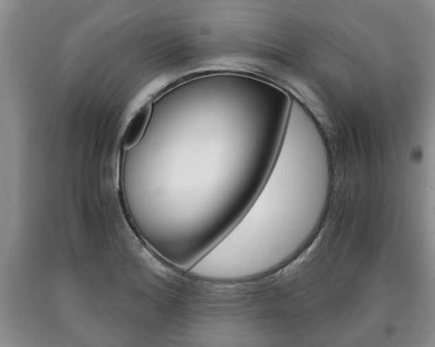X0000090861180200707270927