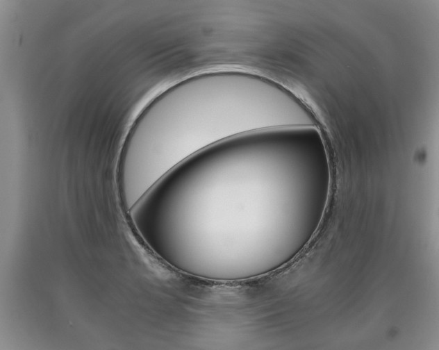 X0000090861181200707270927