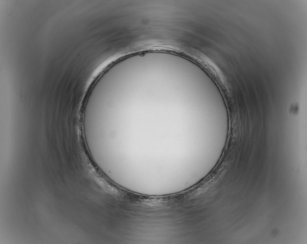 X0000090861182200707270927