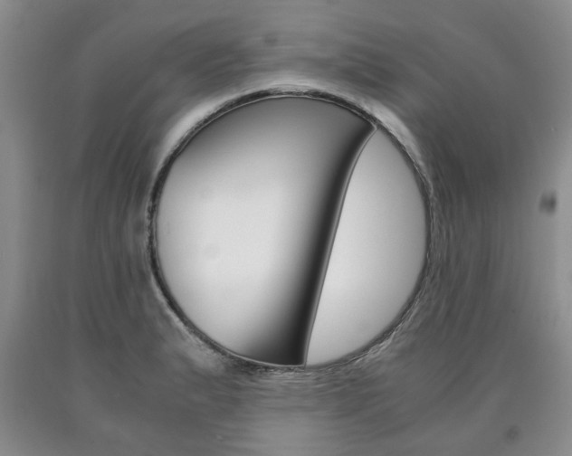 X0000090861183200707270927