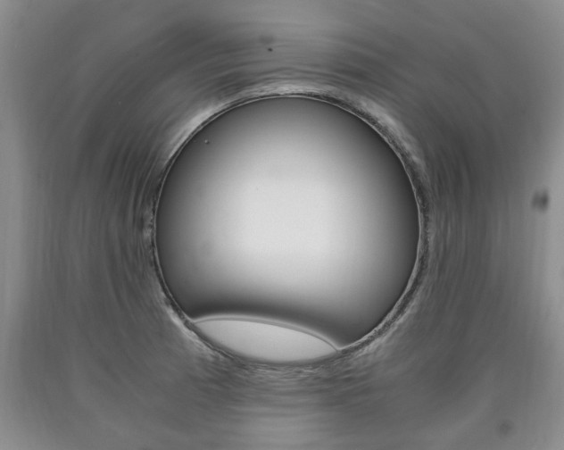 X0000090861185200707270927