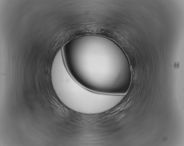 X0000090861202200707270926