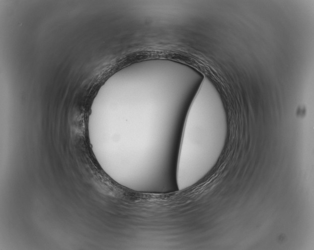 X0000090861204200707270926