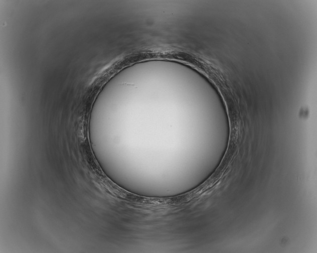 X0000090861205200707270926