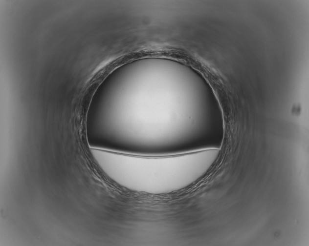 X0000090861206200707270926