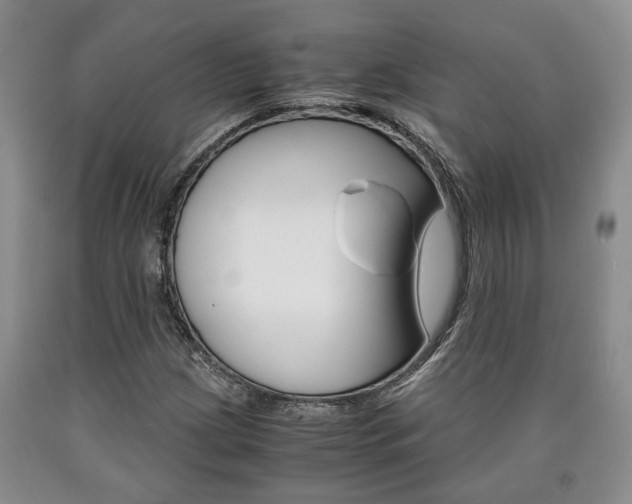 X0000090861209200707270926